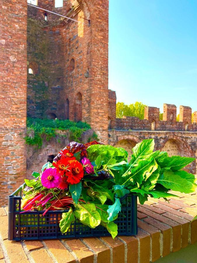 Ca' Del Sole - Attico Panoramico In Centro Storico Apartment Montagnana  Bagian luar foto