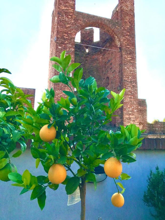 Ca' Del Sole - Attico Panoramico In Centro Storico Apartment Montagnana  Bagian luar foto