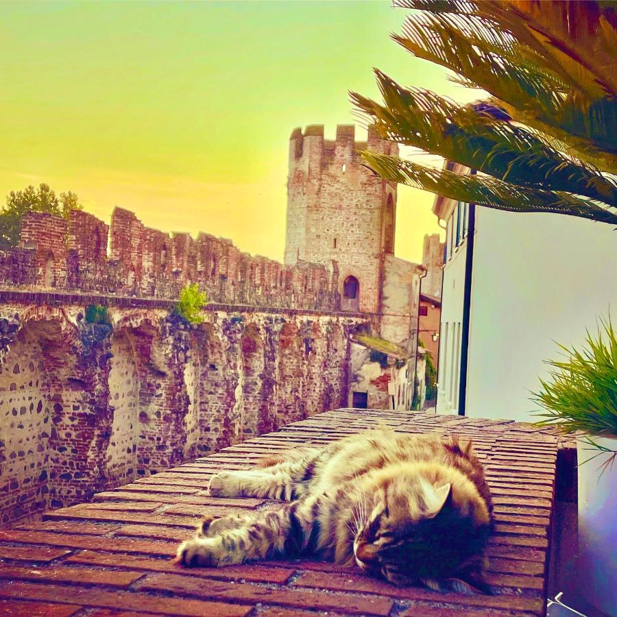 Ca' Del Sole - Attico Panoramico In Centro Storico Apartment Montagnana  Bagian luar foto